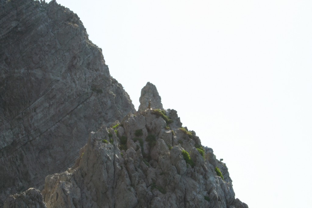 Capri 3
